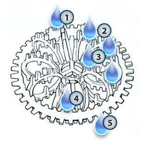 tellerettediagram (1)